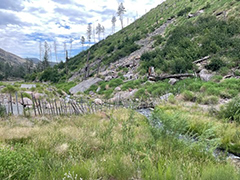 Santa Clara Creek at high elevation after extensive restoration efforts.